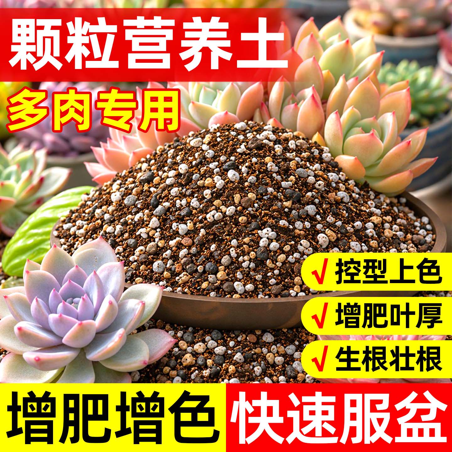 多肉专用颗粒营养土疏松透气图片