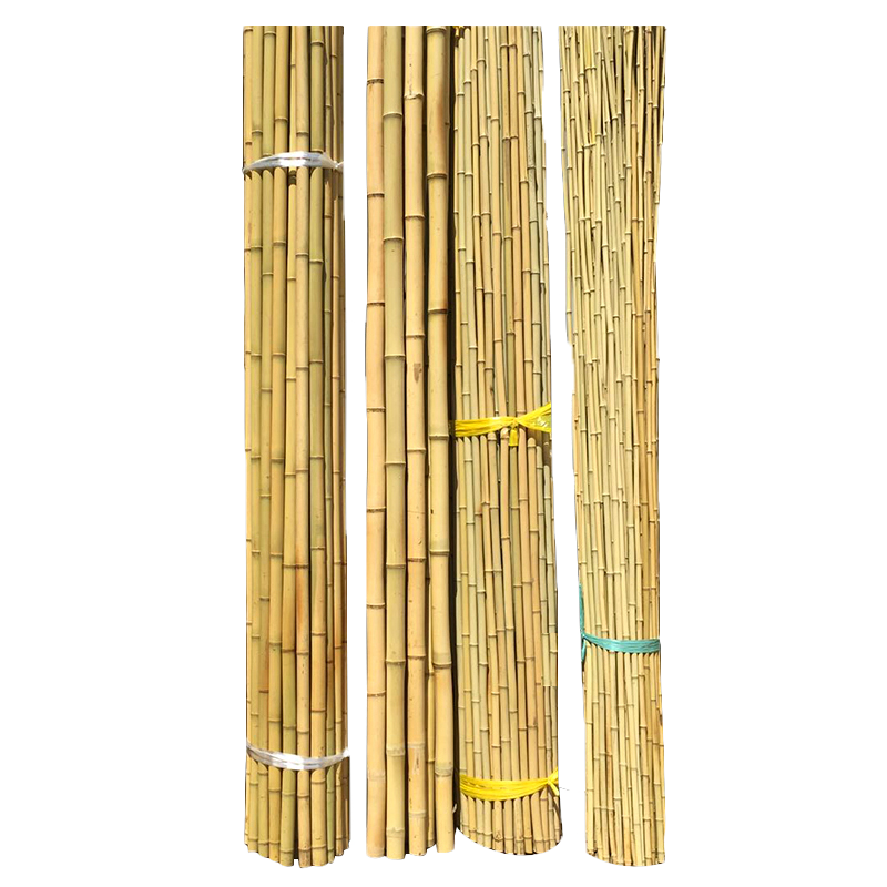 竹竿棍菜园搭架防腐粗细竹子杆蔬菜架菜园架爬藤黄瓜豆角瘦竹竿
