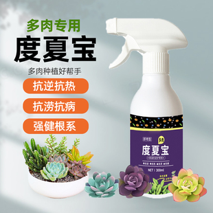 多肉度夏宝多肉专用肥爆芽促芽防黑腐病矮胖控型抗逆优芽素肥料