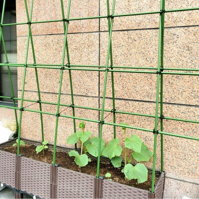 爬藤架种植箱园艺植物月季绿萝葡萄支撑杆花植物攀爬固定阳台户外