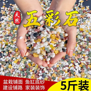 天然五彩石雨花石鱼缸底砂火山石造景多肉铺面五花石彩色小石头子