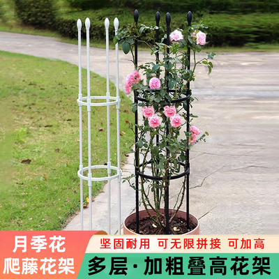 月季爬藤支架铁艺攀爬架子铁线莲户外支撑杆紫藤飘香藤防倒花支架