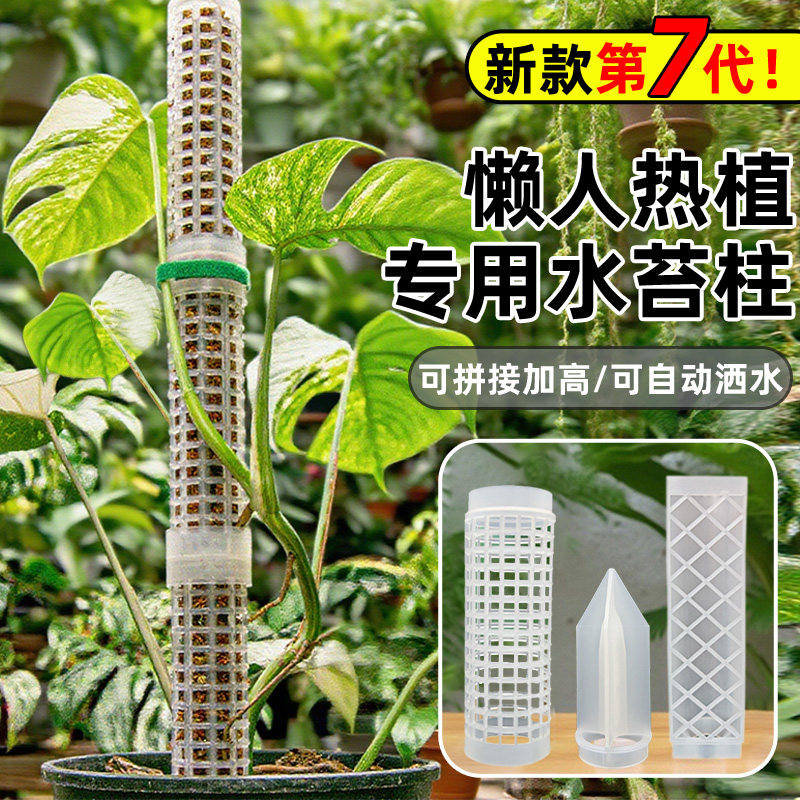 水苔柱龟背竹绿萝热值攀附柱可拼接延长调节爬藤植物固定花支架 - 实物图