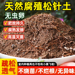 松针腐殖土腐熟松针土腐叶多肉君子兰花泥炭土种菜养花通用营养土