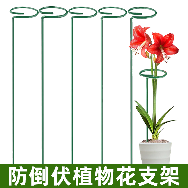 植物铁艺防倒伏支撑杆绣球吊兰爬藤花架护花卉朱顶红支撑架固定架