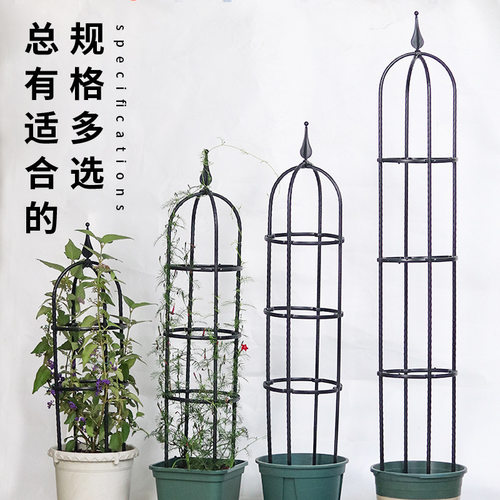 铁线莲支架爬架月季花架花柱钢管