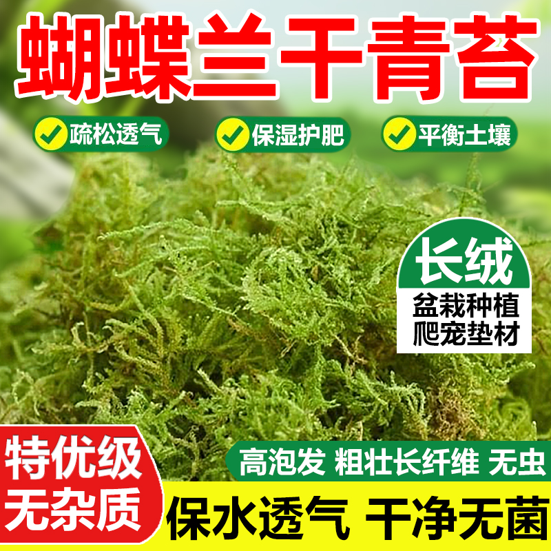青苔水苔蝴蝶兰专用干苔藓石斛种植兰花营养土乌龟垫材兰花土植料