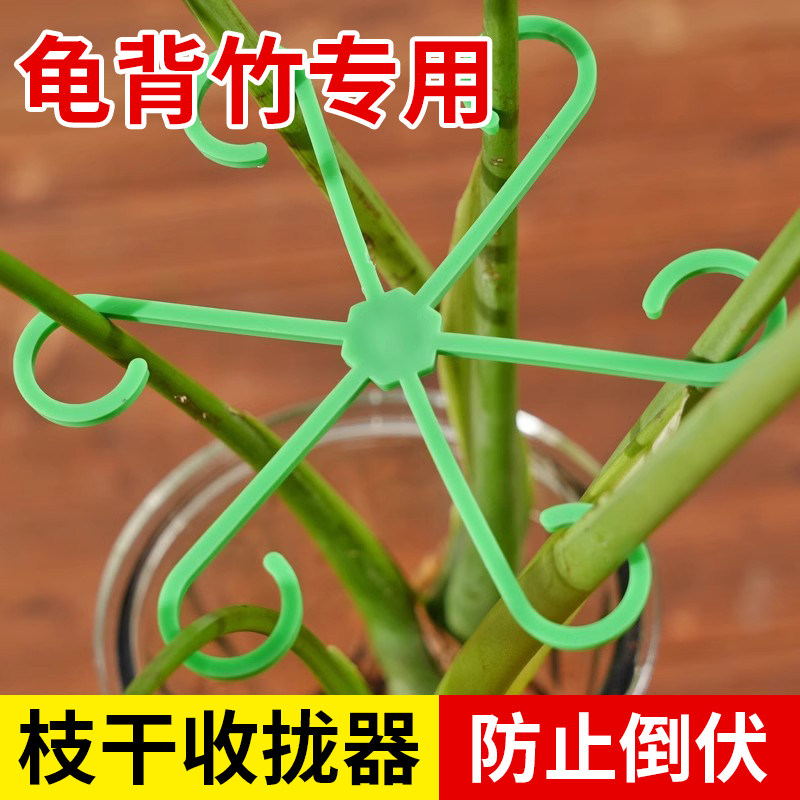 固定夹花架固定干支撑龟背竹绿植花天堂鸟固定海芋花支架支撑架