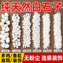 白石子庭院造景鱼缸天然鹅卵石造景铺路养花多肉盆栽颗粒土铺面石