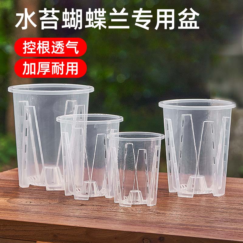 兰花专用海芋树脂花烛月季热侧孔水苔青山空气柱大号绿植盆轻奢图片