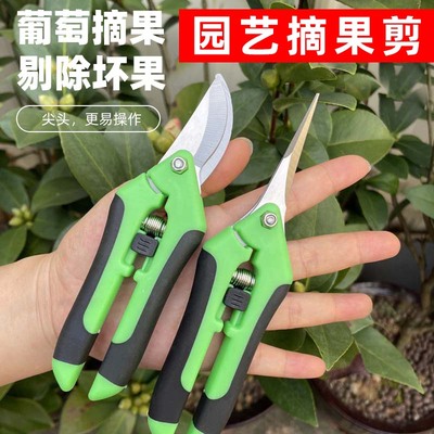 园艺工具花椒树枝摘果剪