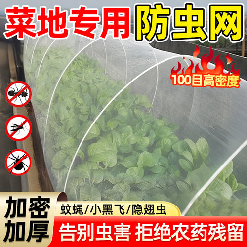 防虫网种菜专用菜园草莓园蔬菜种植农用大棚防果蝇菜地防虫防蚊网