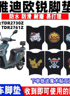 雅迪欧锐丝圈脚垫防水防滑耐磨