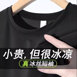 剪标出口夏季薄款冰丝网眼速干短袖t恤女韩版大码户外运动半截袖
