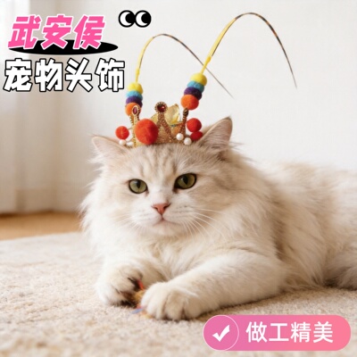 猫咪逗猫棒头饰拍照自嗨防抑郁
