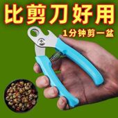 剪螺蛳屁股神器不打滑田螺螺丝省力钳专用剪刀石螺翦田螺去尾神器