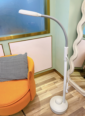 包邮 泰东冷光灯放大镜美容灯LED护眼立式纹绣睫毛无影灯落地注水