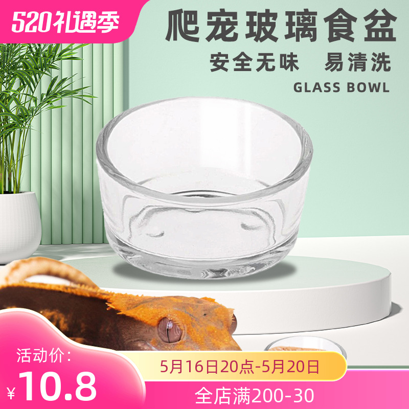 爬宠睫角食盆守宫水盆果泥杯子
