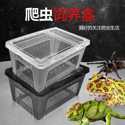 爬虫饲养盒蜘蛛角蛙蜗牛仓鼠守宫爬宠箱乌龟缸寄居蟹饲养缸人渣盒