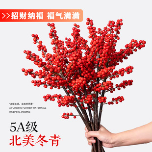年宵节热销盆栽北美冬青红果鲜切枝年宵花卉水养室内客厅盆栽摆件