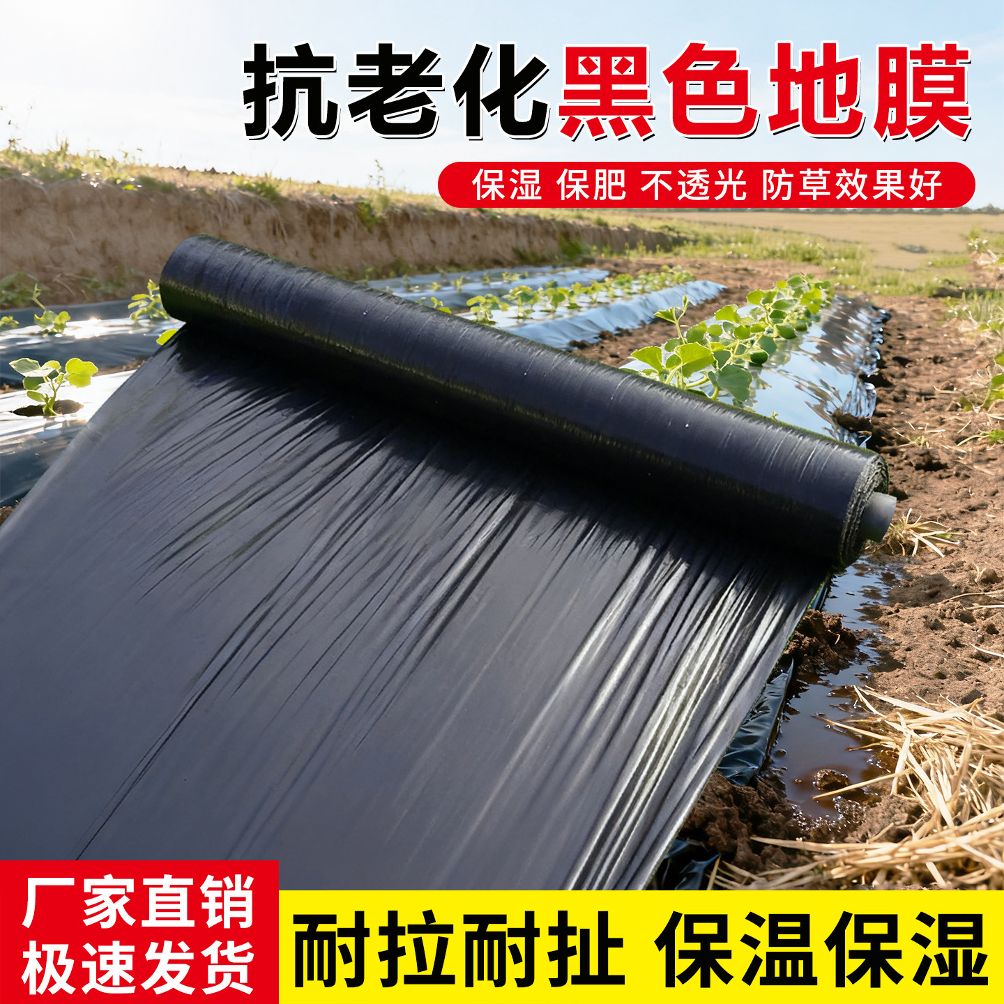 黑地膜加厚抗老化塑料薄膜果园农用菜园保温保湿防草种菜专用