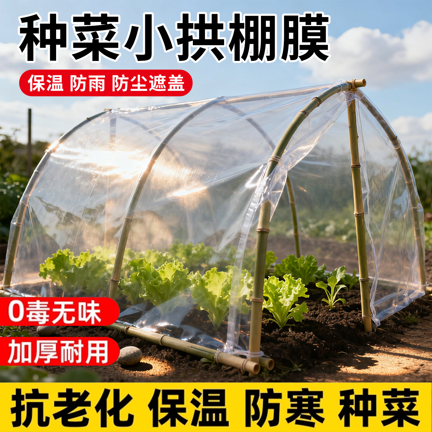 小拱棚保温膜加厚透明种菜膜