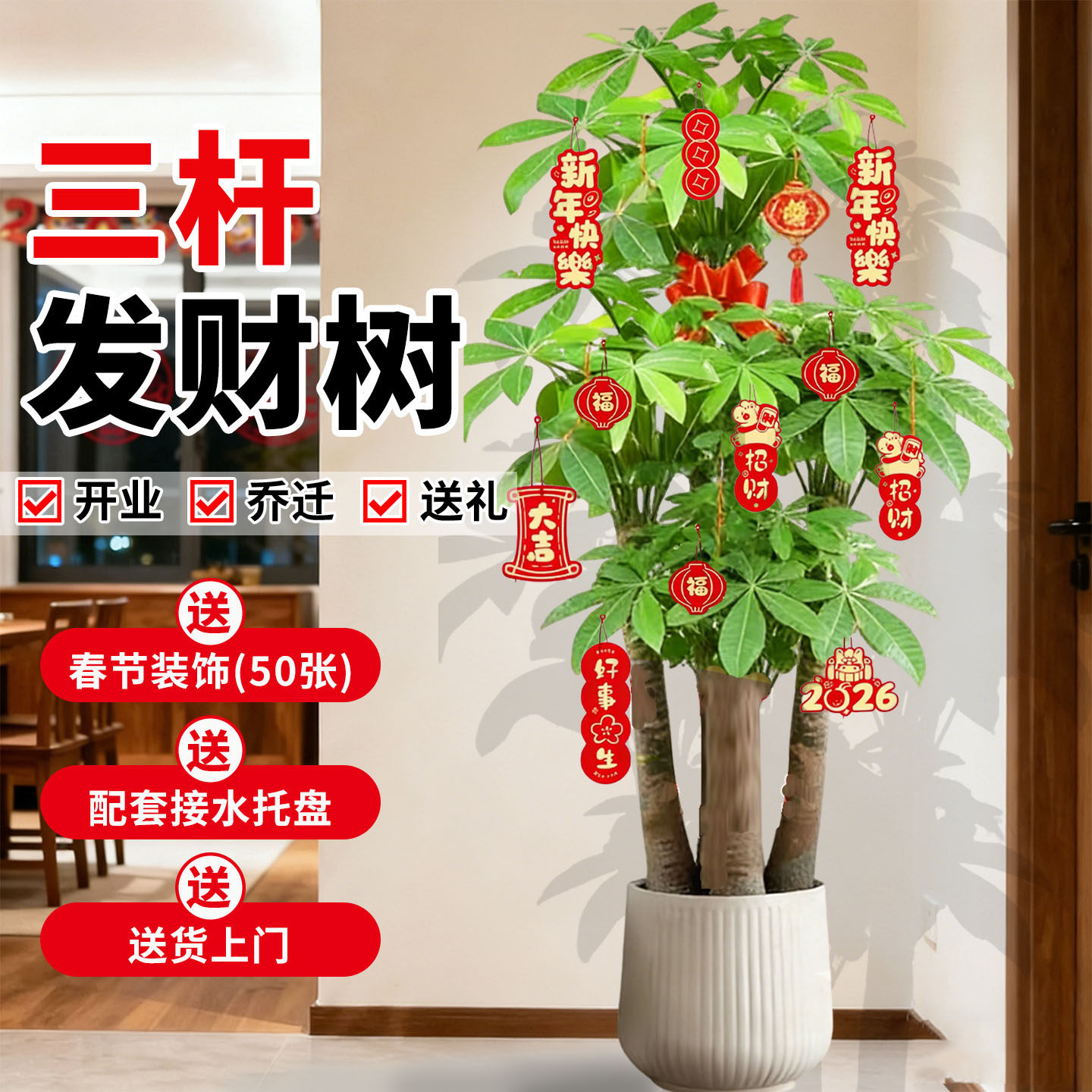 步步高三杆发财树室内开业大盆栽