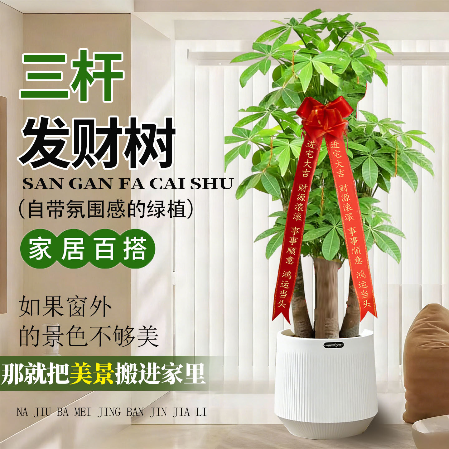 大辫子发财树客厅盆栽大型室内绿植招财树办公室乔迁开业三杆植物,鲜花速递/花卉仿真/绿植园艺,大型绿植/成品组合盆栽,淘宝优惠券,粉丝福利购,淘宝优惠卷