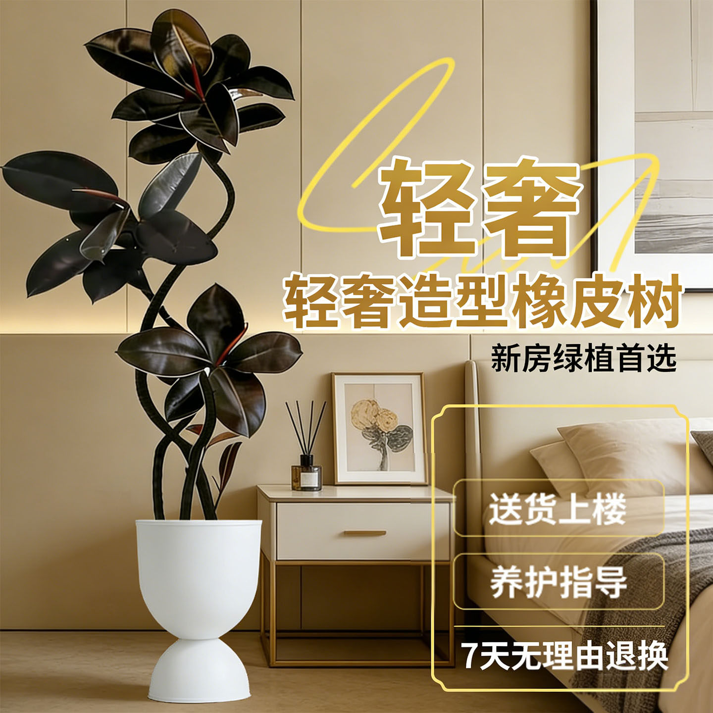 黑金刚橡皮树客厅大盆栽拗造型室内大型绿植办公室四季好养真植物,鲜花速递/花卉仿真/绿植园艺,大型绿植/成品组合盆栽,淘宝优惠券,粉丝福利购,淘宝优惠卷