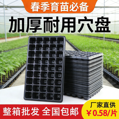 【农业频道展播款】全新料育苗盘