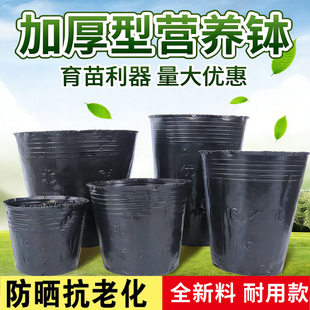 营养杯育苗杯营养钵育苗盆槟榔种植袋加厚农用营养袋育苗袋花盆