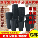 Весь мешок с чашей для питания и толстые пластиковые саженцы для питания пакет питания чашка посадка тазого тазового таза