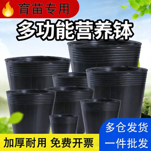 营养钵育苗杯营养杯育苗袋大号黑色种植塑料育苗一次性花盆育苗盆