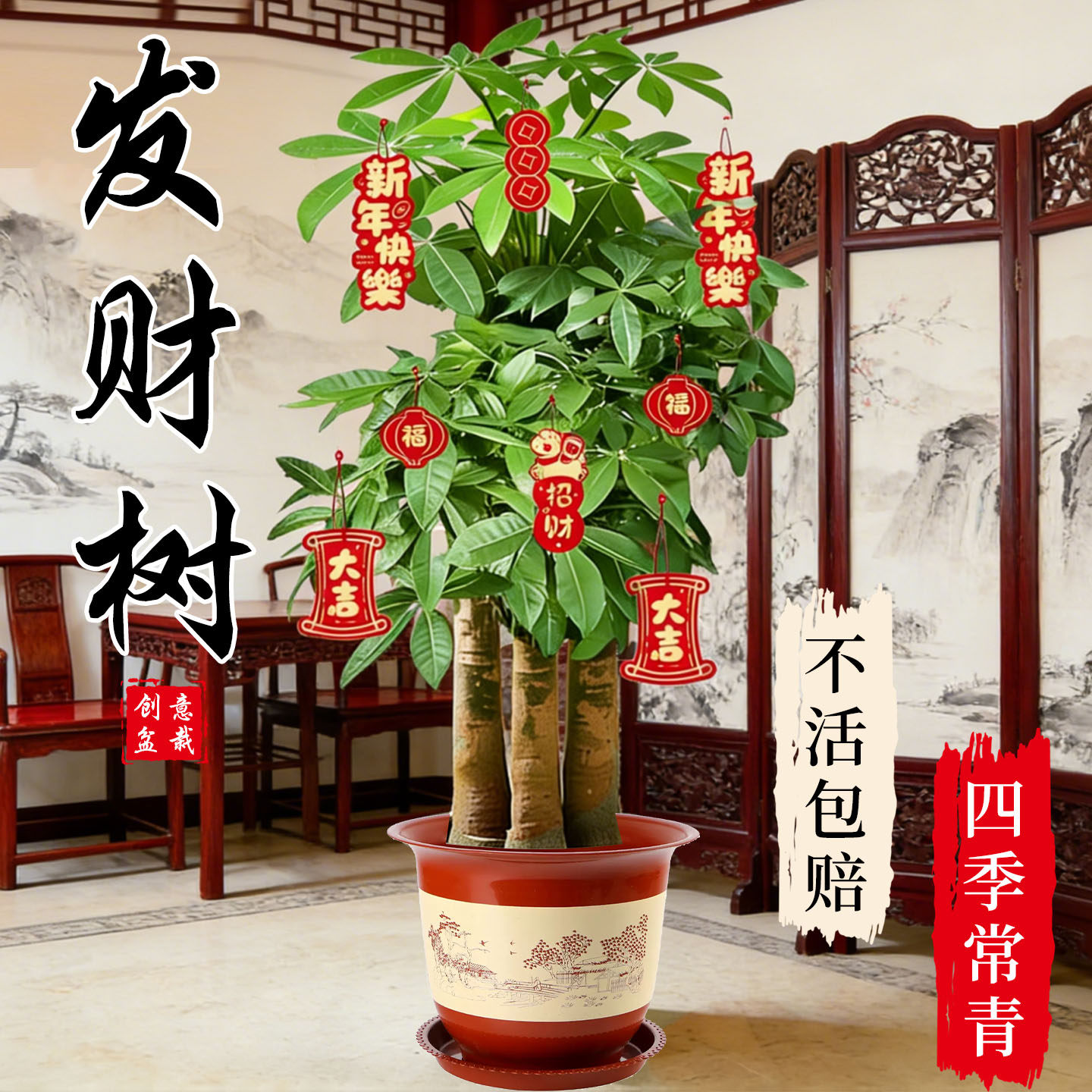 三杆发财树招财树大型室内绿植客厅盆栽辫子办公室乔迁开业落地,鲜花速递/花卉仿真/绿植园艺,大型绿植/成品组合盆栽,淘宝优惠券,粉丝福利购,淘宝优惠卷