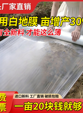 白地膜全新料加厚大棚塑料薄膜白色拱棚种菜专用农用种植保温保湿