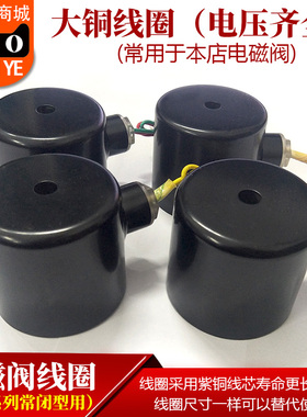 2W系列电磁阀线圈 大铜线圈 孔径20mmAC22OV DC24V AC110V AC380V