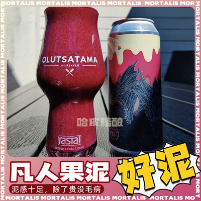 凡人高分果泥水果酸艾尔精酿啤酒