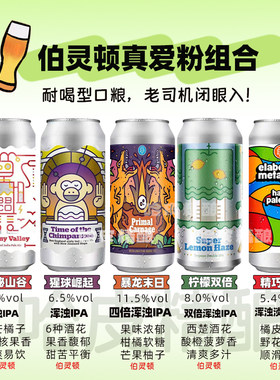 美国进口伯灵顿浑浊IPA精酿啤酒