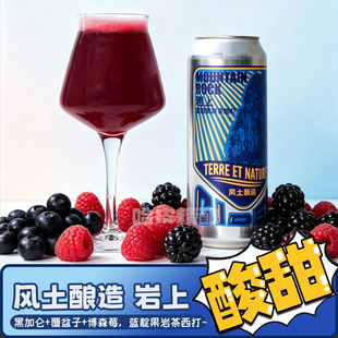 风土酿造 岩上法兰西圆舞曲佛罗伦萨的晚钟雪峰青瓜科隆精酿啤酒