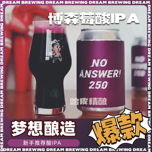 梦想酿造啤酒博森莓/猕猴桃/886红心猕猴桃古斯气泡实验室果啤酒