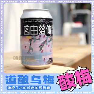 道酿 自由落体烟熏乌梅草莓艾尔懒得芒混搭啤酒国产精酿330ml罐装