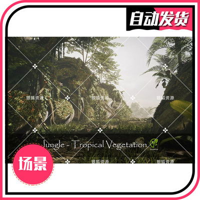 Jungle - Tropical Vegetation 3.3.1 - 3D丛林热带植被场景