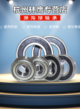 宁波国产轴承6000 6001 6002 6003 6004 6005 6006 6007 6008 RS