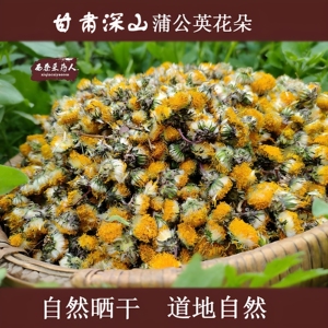 甘肃野生蒲公英花朵茶地丁花蕾人工挑选花骨朵晒干婆婆丁花批发