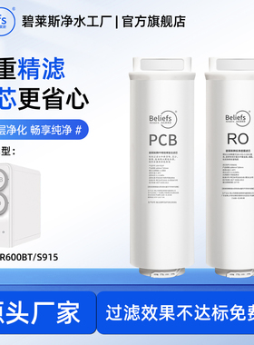 适用于创维净水器CR600BT创维S915滤芯PCB复合滤芯RO反渗透膜滤芯