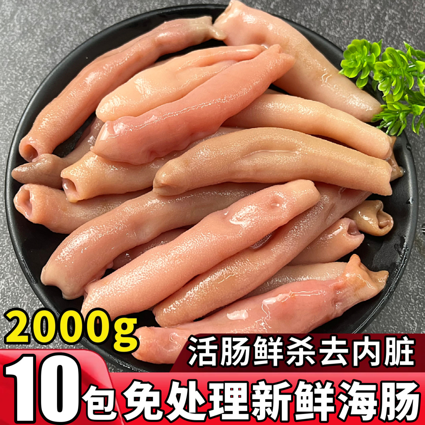 海肠新鲜速冻海肠皮免处理商用