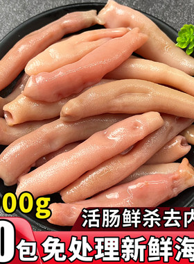 海肠新鲜速冻海肠皮免处理商用