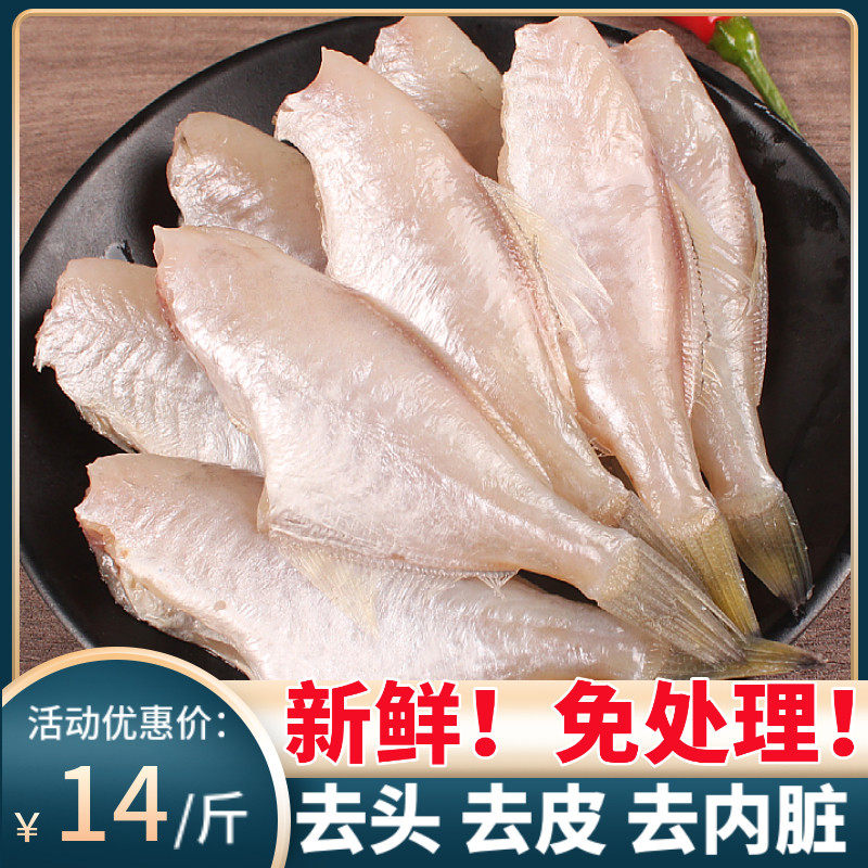 耗儿鱼马面鱼新鲜冷冻十斤免处理