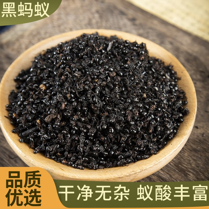 长白山野生大黑蚂蚁东北干拟黑多刺黑蚂蚁 干泡酒用大山蚁