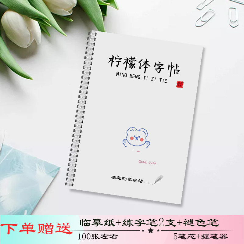 柠檬体女生漂亮手写体高中生成人文案语录摘抄美文硬笔临摹练字